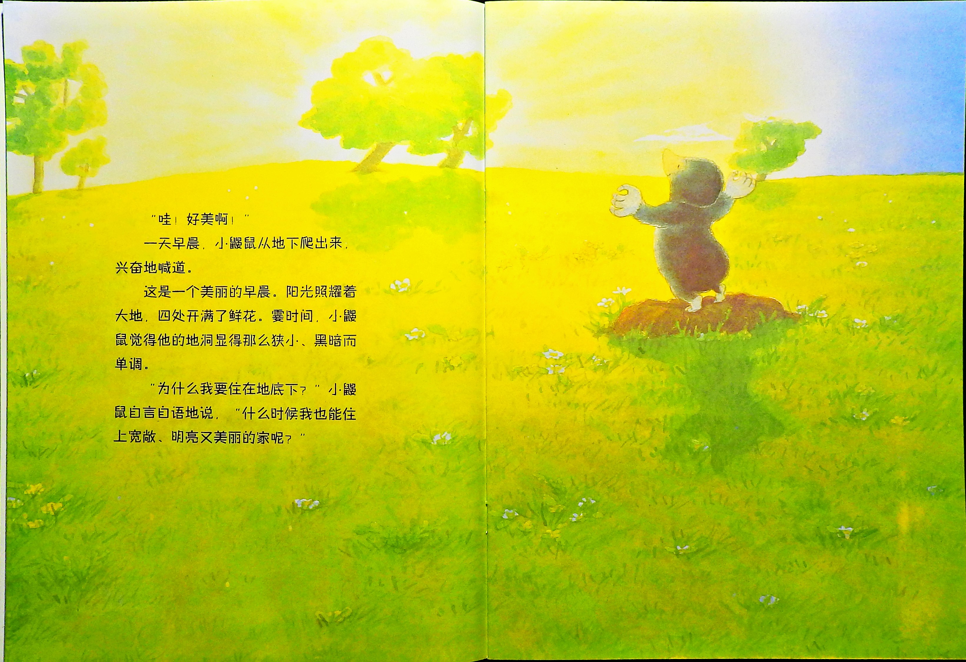 小鼹鼠找新家 (04),绘本,绘本故事,绘本阅读,故事书,童书,图画书,课外阅读
